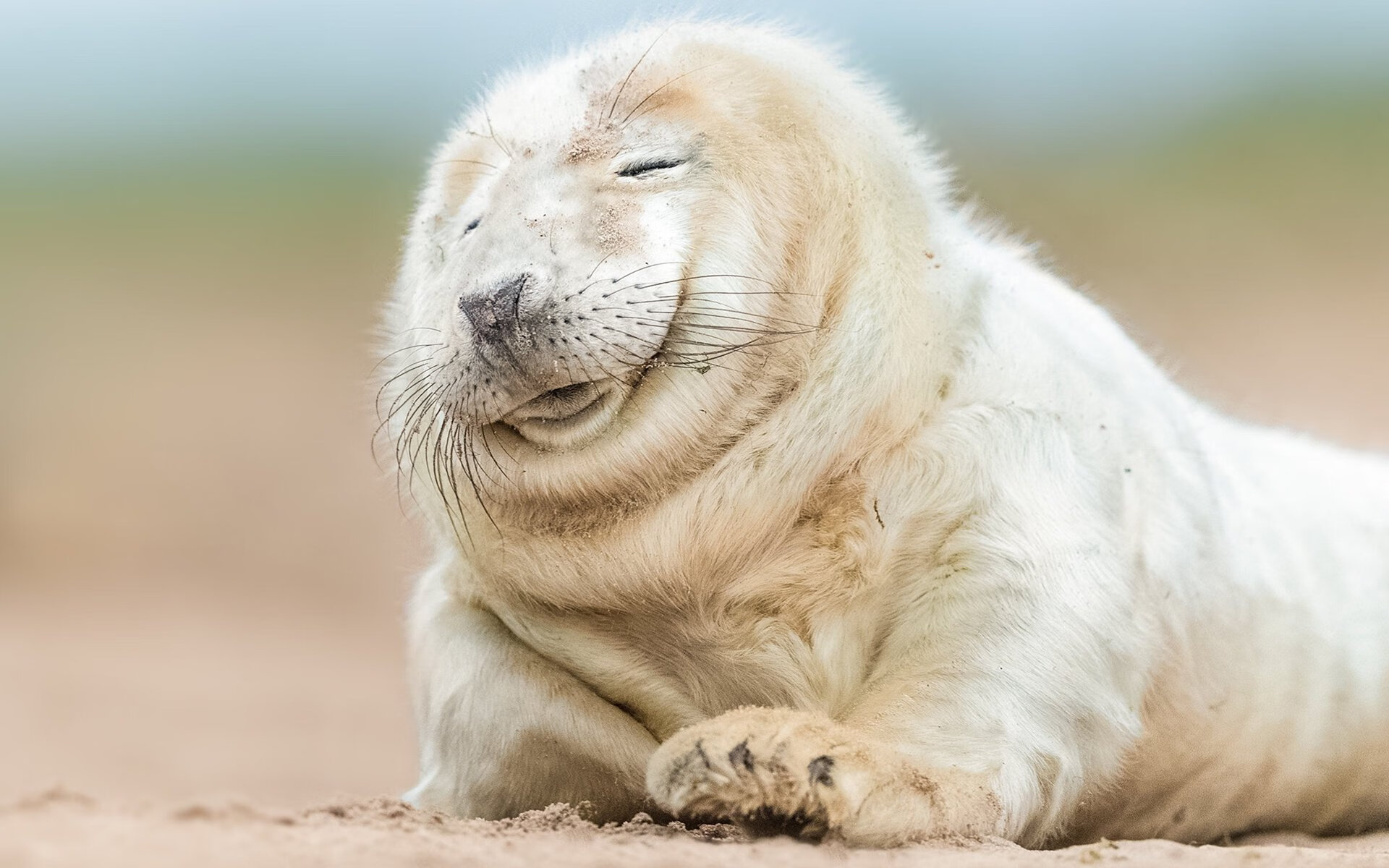 华体会登陆-【顶尖运动员】奥沙利文：坚持不懈的训练秘诀，奥沙利文比赛练球