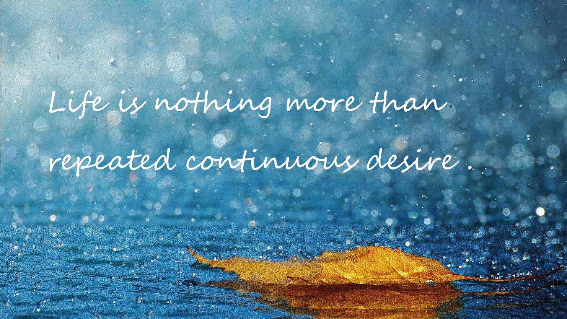 华体会hth登录-摩洛哥马术协会与美洲马术协会合作，举办国际马术交流活动，促进文化互鉴。