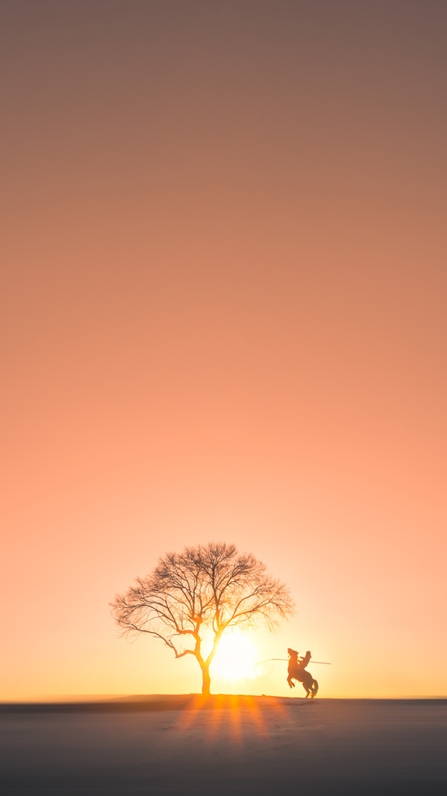 华体会hth官方网站下载-乌克兰队逆袭成功！波兰队惨遭淘汰，波兰球乌克兰历史