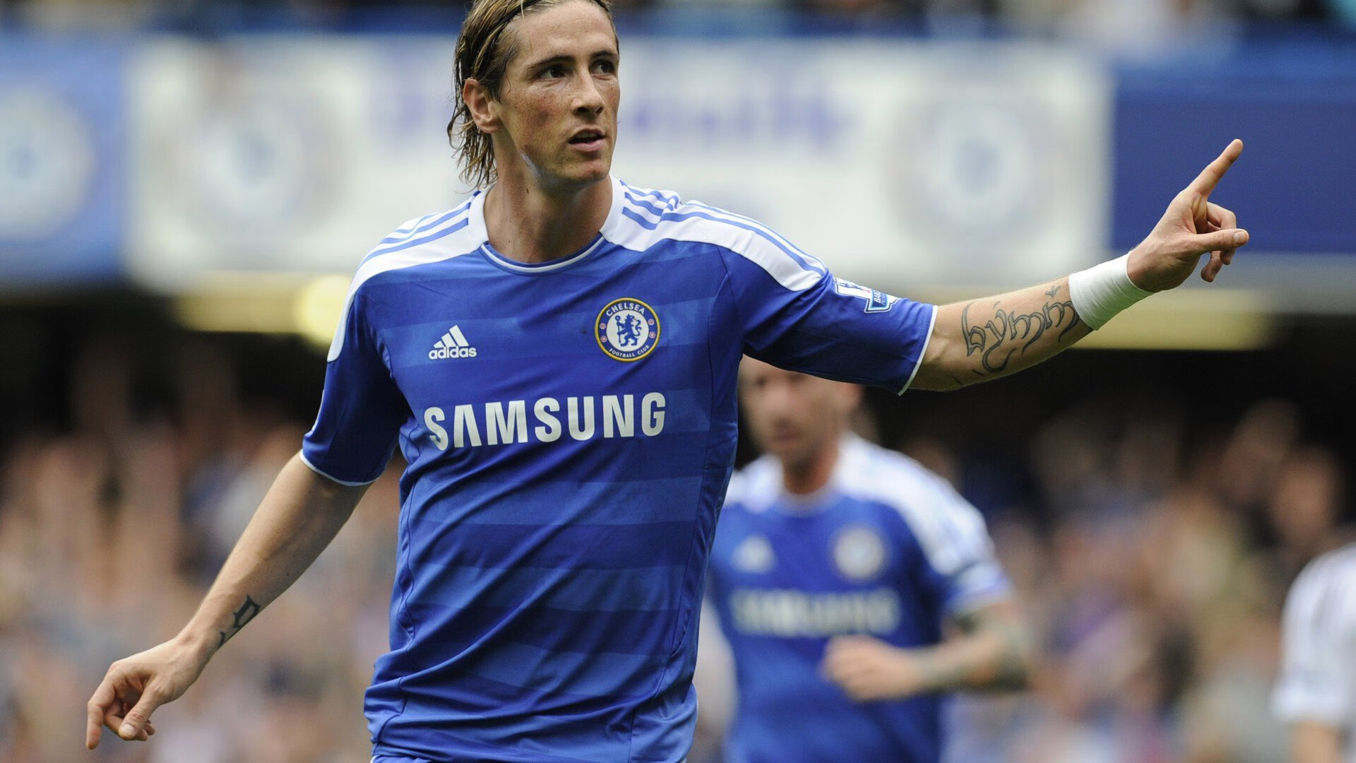 保利斯塔(Paulista),保利斯塔嘉宝果特点