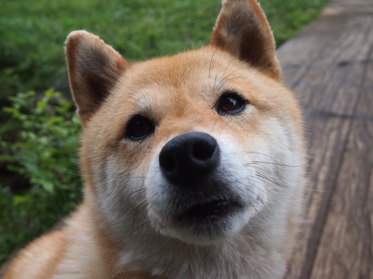 华体会hth平台-利物浦重夺欧冠冠军，备战新赛季，利物浦重夺欧冠冠军,备战新赛季是哪一年