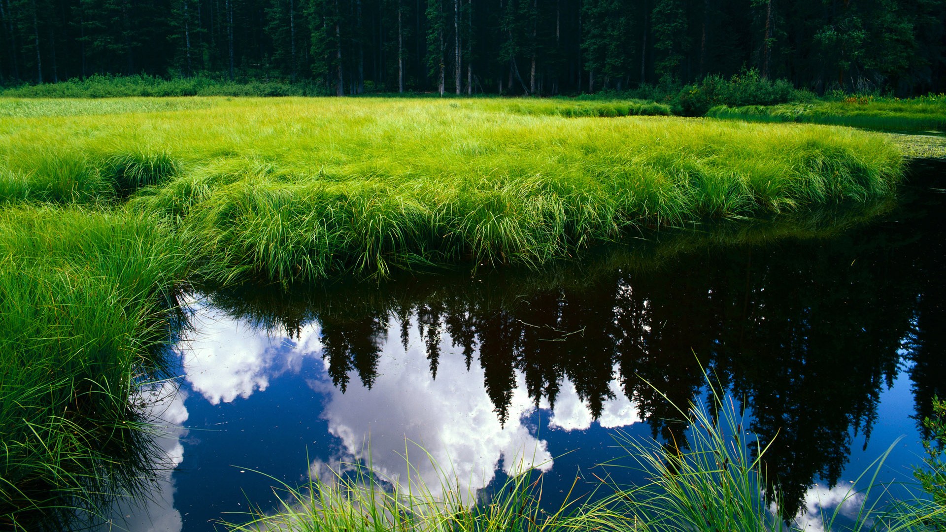 华体会hth在线登录-前锋连续进球，表现火爆引发球迷关注，前锋进球排名