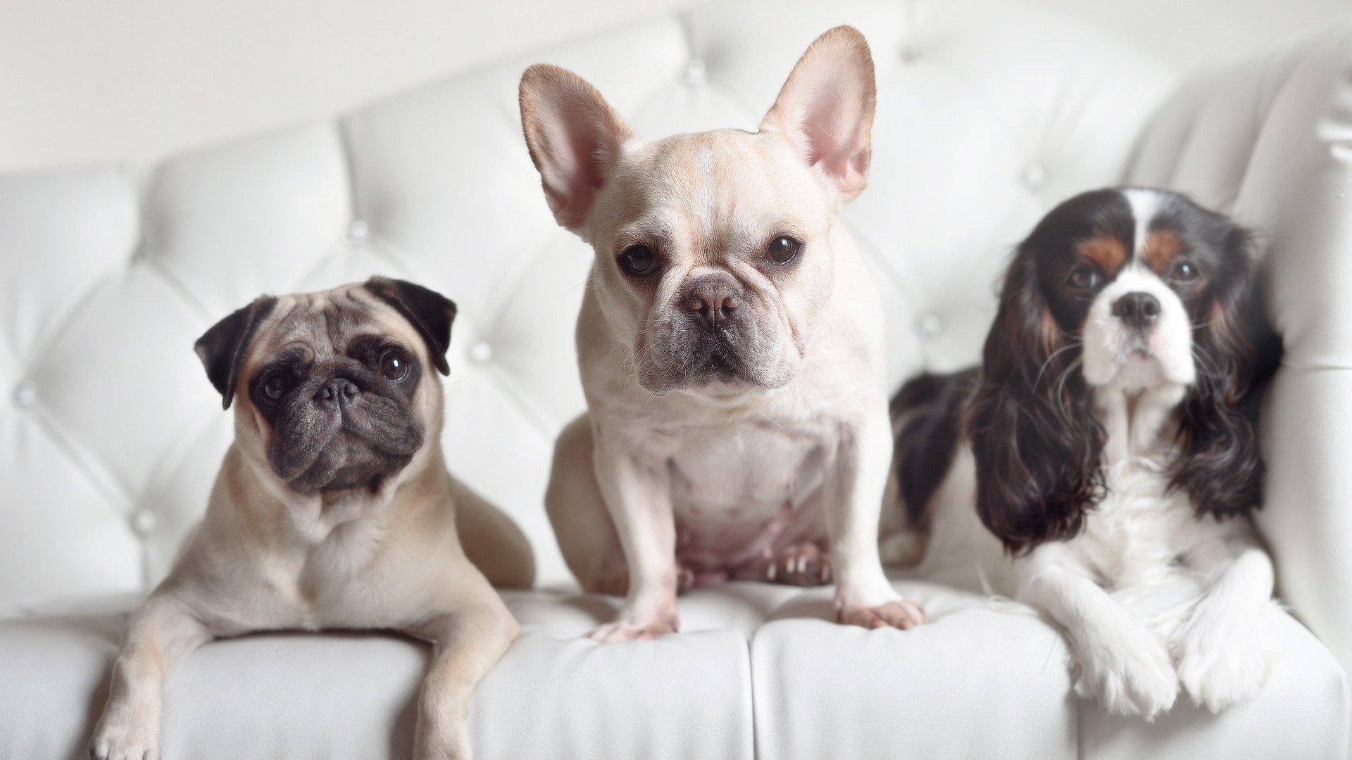 国民队球队管理层宣布新计划,国民队球队管理层宣布新计划是什么