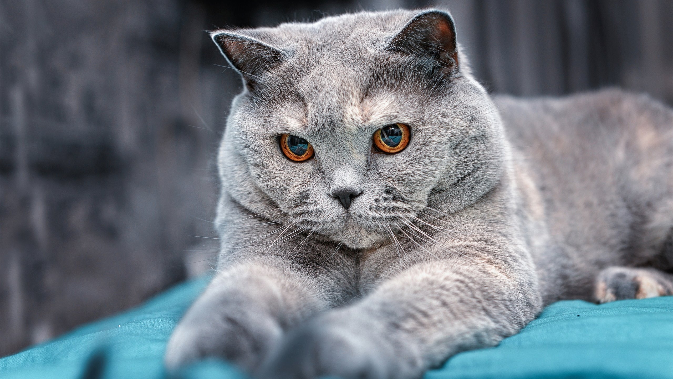 国民队年轻球员在德比中表现出色,国民队年轻球员在德比中表现出色吗