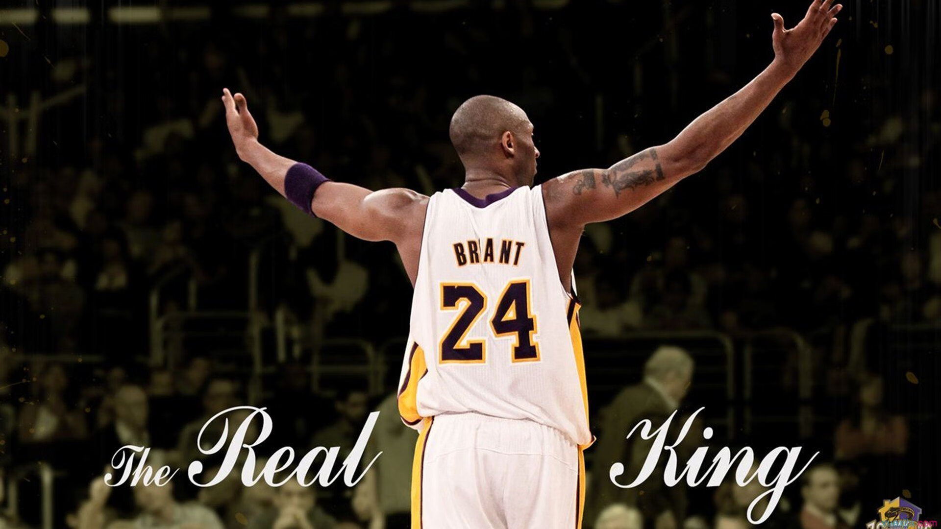 华体会官方网站-步行者队球队进攻组织更加高效，步行者队怎么样