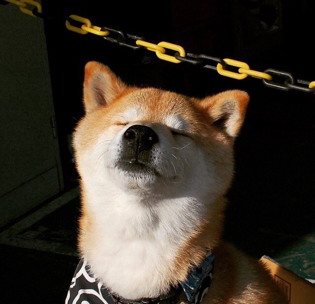 华体会手机在线-火鸟只能无奈认怂，输给了西方强队，火鸟火鸟2020