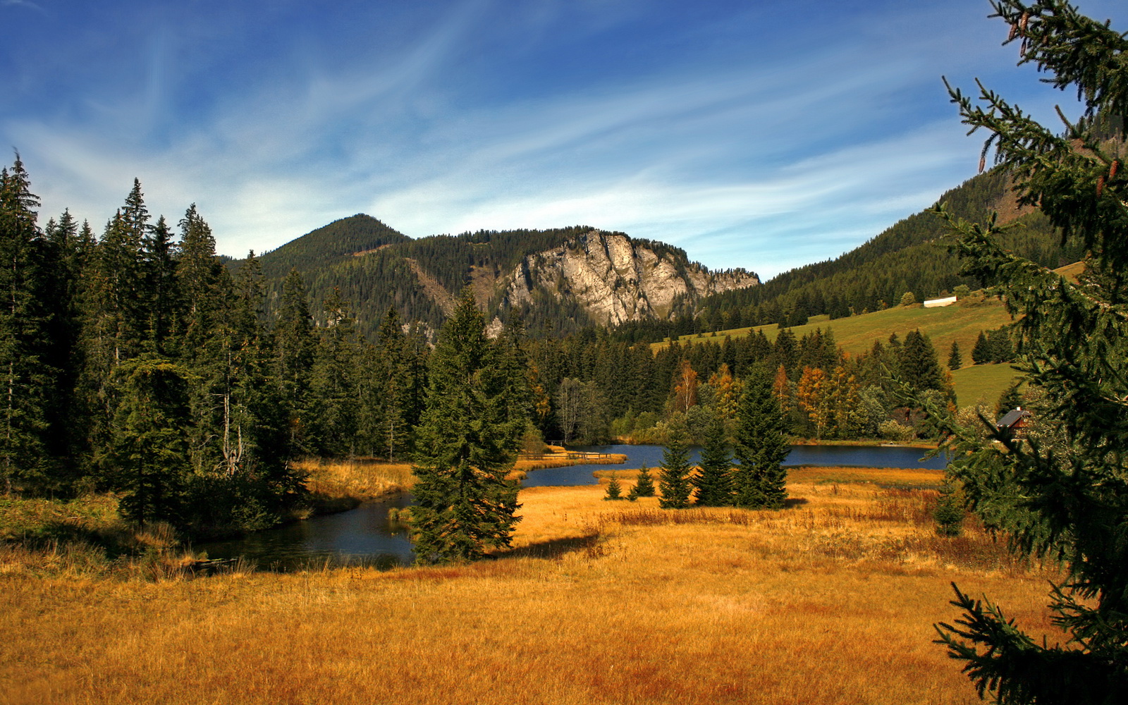 火鸟只能无奈认怂，输给了西方强队，火鸟火鸟2020