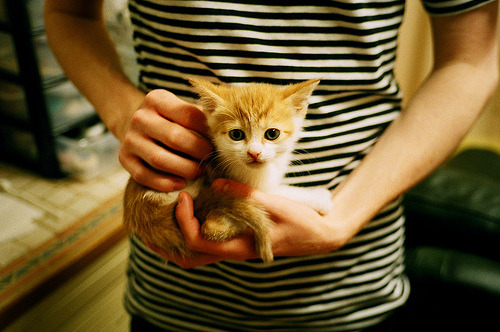 华体会hth娱乐平台-电竞城市打造电竞特色商业街区，电竞主题商业