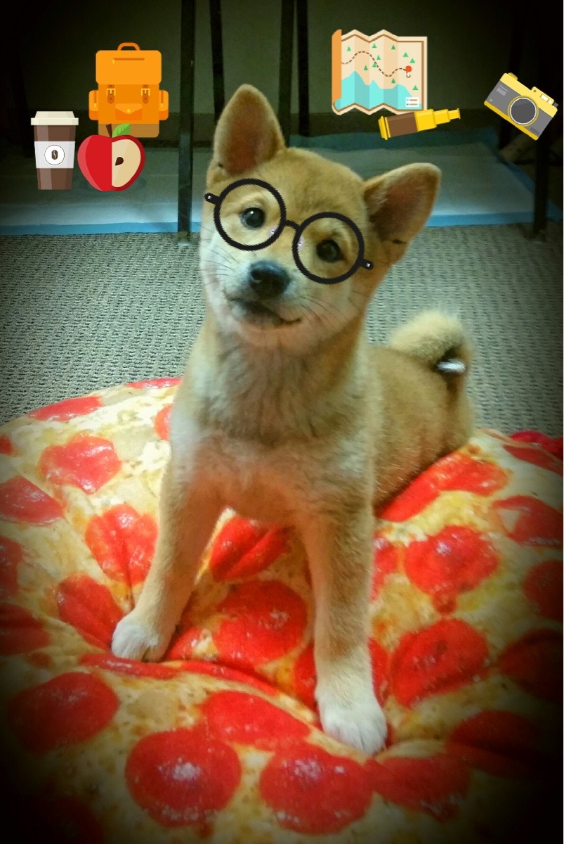 华体会hth登录-西班牙与英格兰对决——欧洲足球赛事掀起热潮，西班牙和英格兰足球哪个厉害