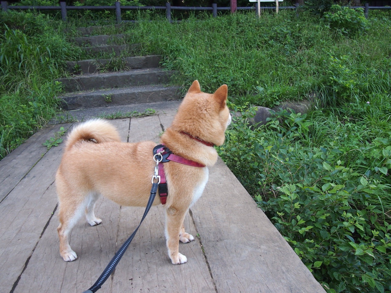 中超联赛高光时刻回顾专题,中超联赛2021