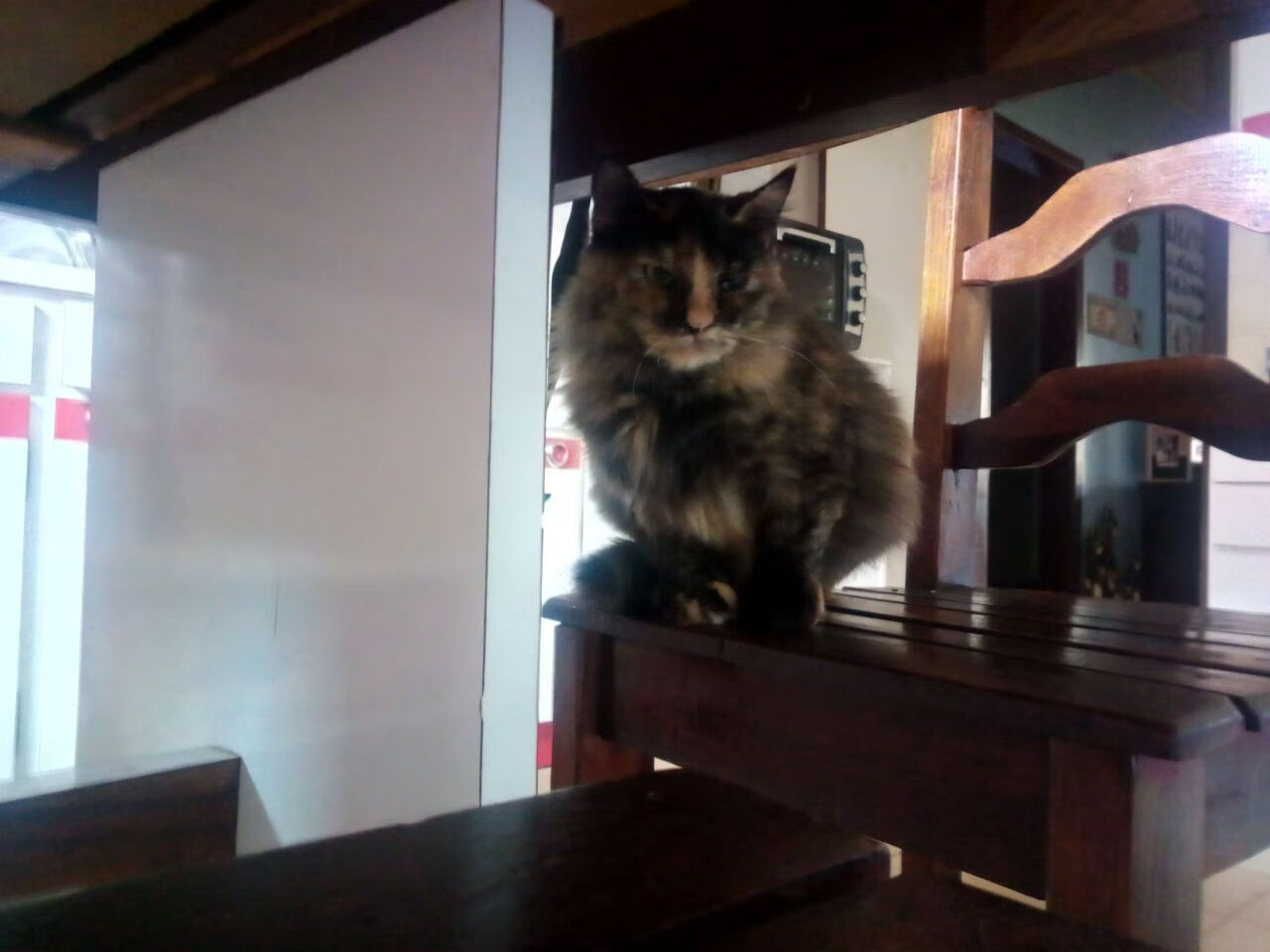 华体会hthapp下载-德甲高强度对抗中体能消耗与失误关系研究，德甲体能测试