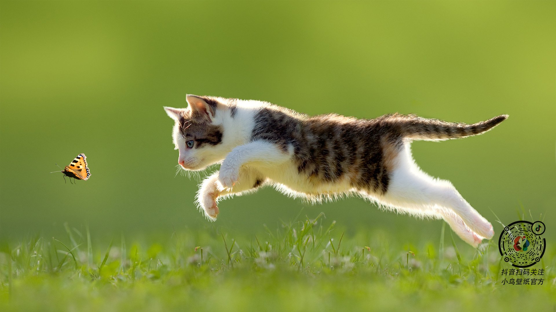 篮球青少年运动推广的社会支持体系,篮球青少年运动推广的社会支持体系有哪些