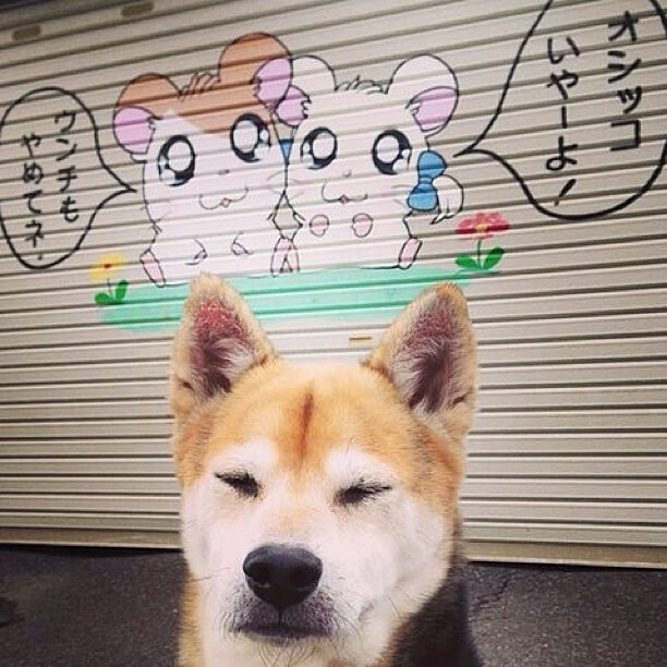 高校体育教师数字教学能力培养策略与实践,数字体育课