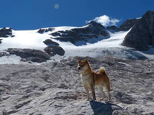 华体会hth在线登录-世界杯赛场的智能安保系统