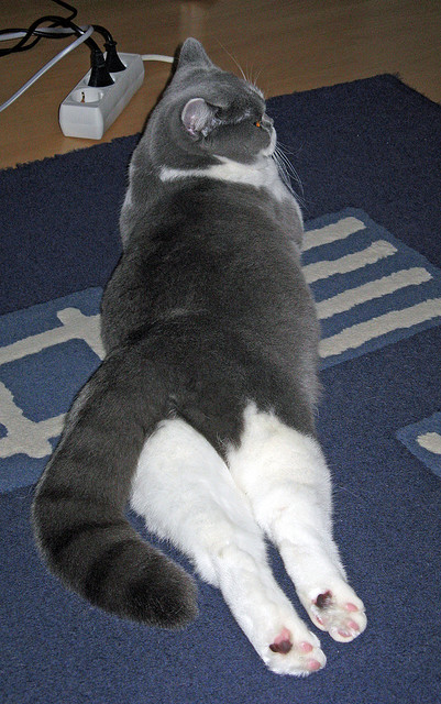 马拉松赛事天气预报提醒选手注意调整，马拉松恶劣天气