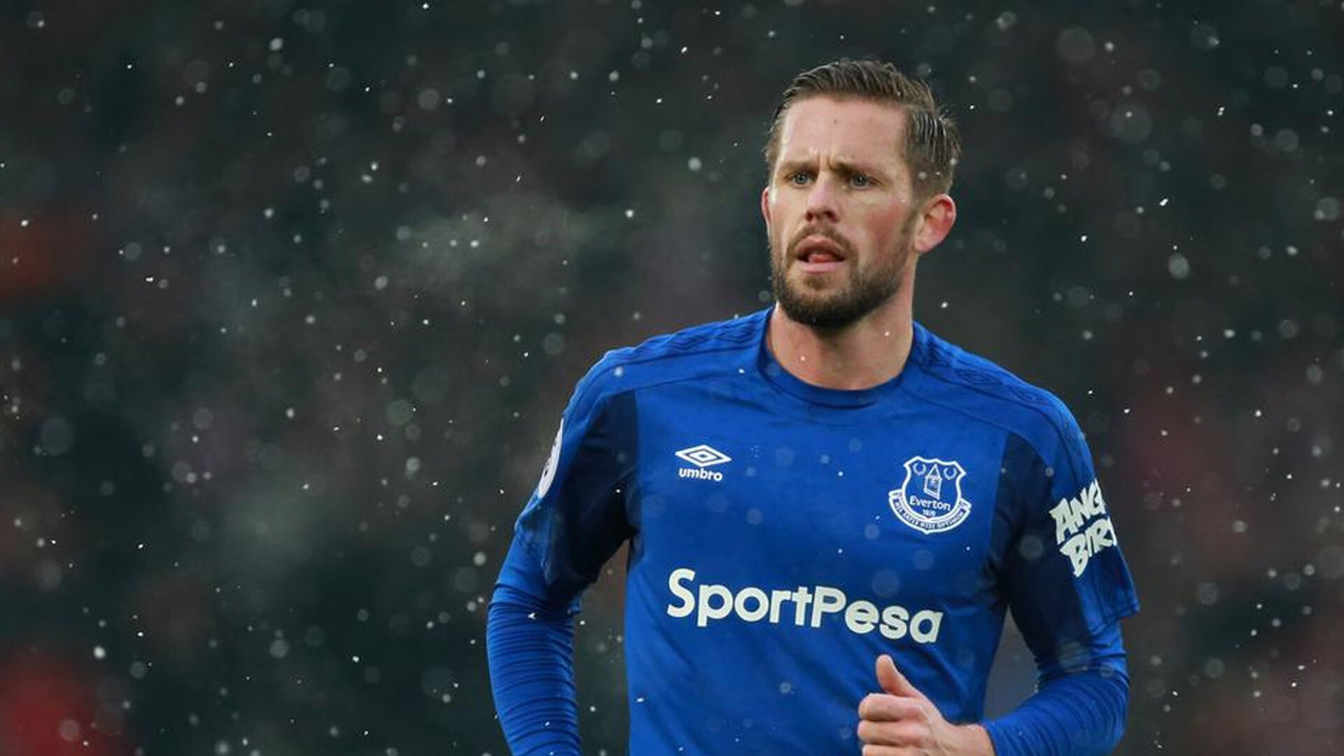 “雪域霸主：白色赛场的冠军归来”，雪域白图片